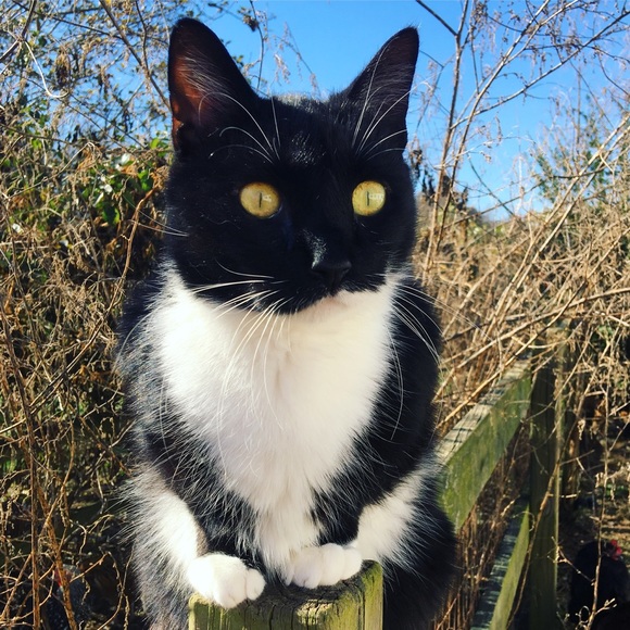 PRICE DROP!! - Picture 7 of 8